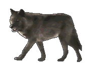 Wolfgan Wolf Logo