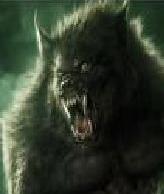 [WoW] 619ReY916 Logo