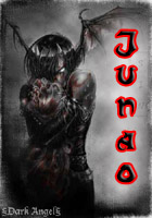 [VE] Junao Logo