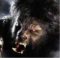 °..NightWolf..° Logo