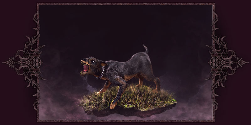 Cao de Caça Raivoso